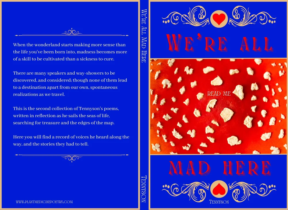 We're All Mad Here original book cover