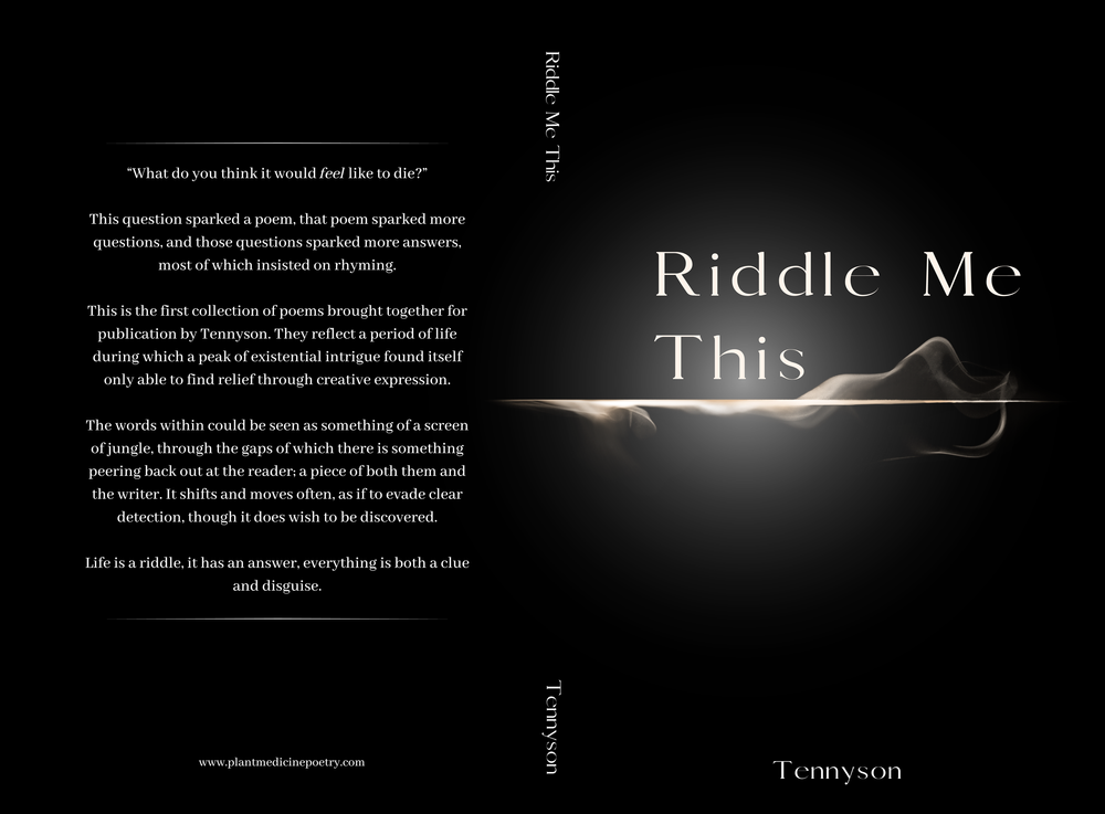 Riddle Me This original book cover